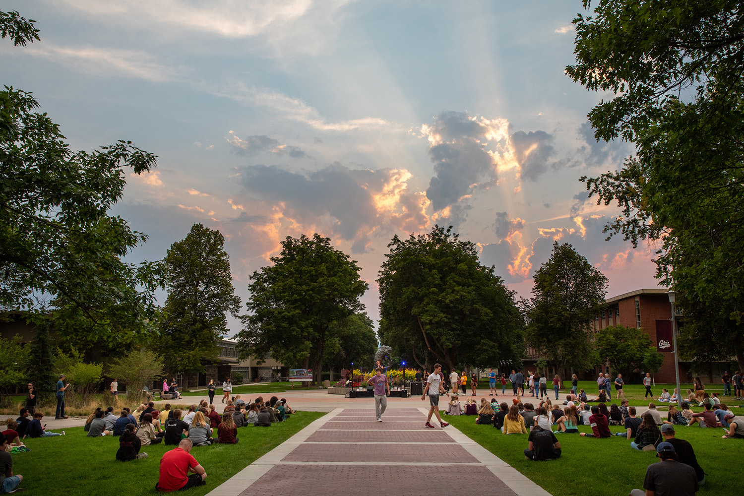 Students gather on the Oval for an evening Orientation event as a sunset lights up the sky