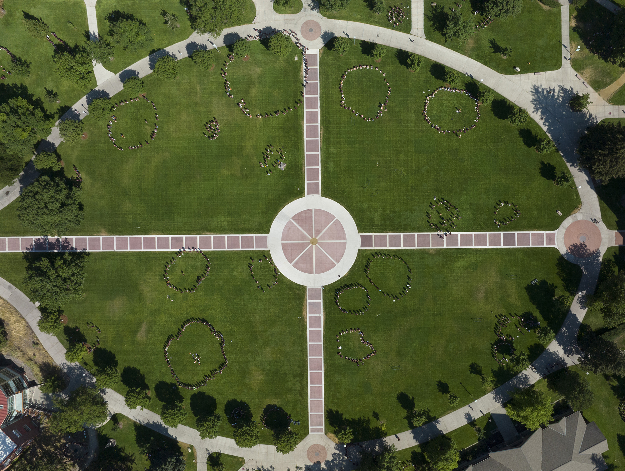Groups of students standing in circles on the Oval, as seen from a drone flying above