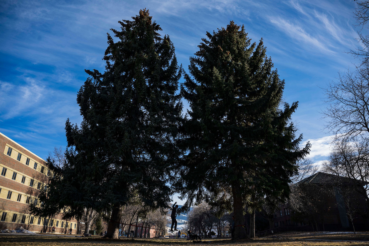 A student walks a slackline between two trees.