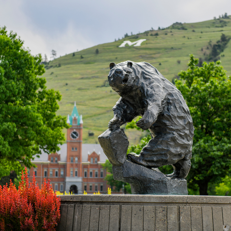 The Grizzly Bear statute on the Oval at UM with Main Hall in the background